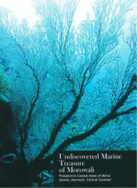 Undiscovered Marine Treasure of Morowali